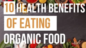 Top 10 Benefits of Adopting Organic Food in Our Daily Life